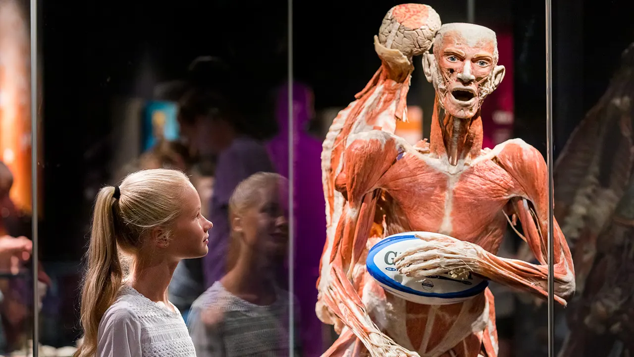 Body Worlds