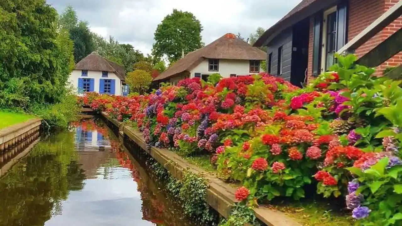 Giethoorn Day Trip with Boat Tour