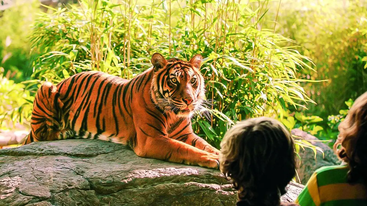 Rotterdam Zoo Blijdorp