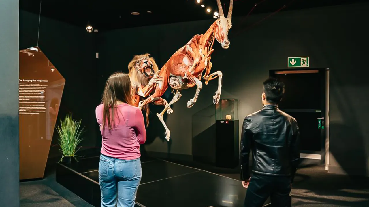 Body worlds museum