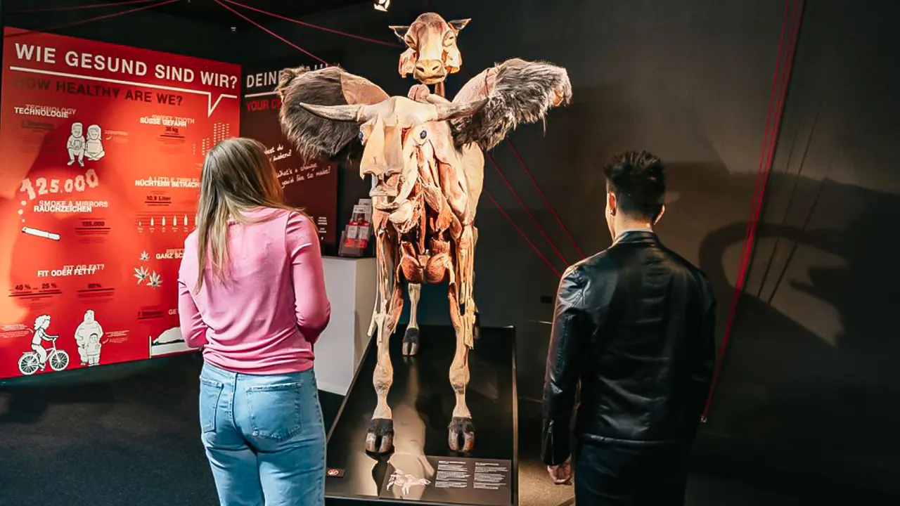 Body worlds museum