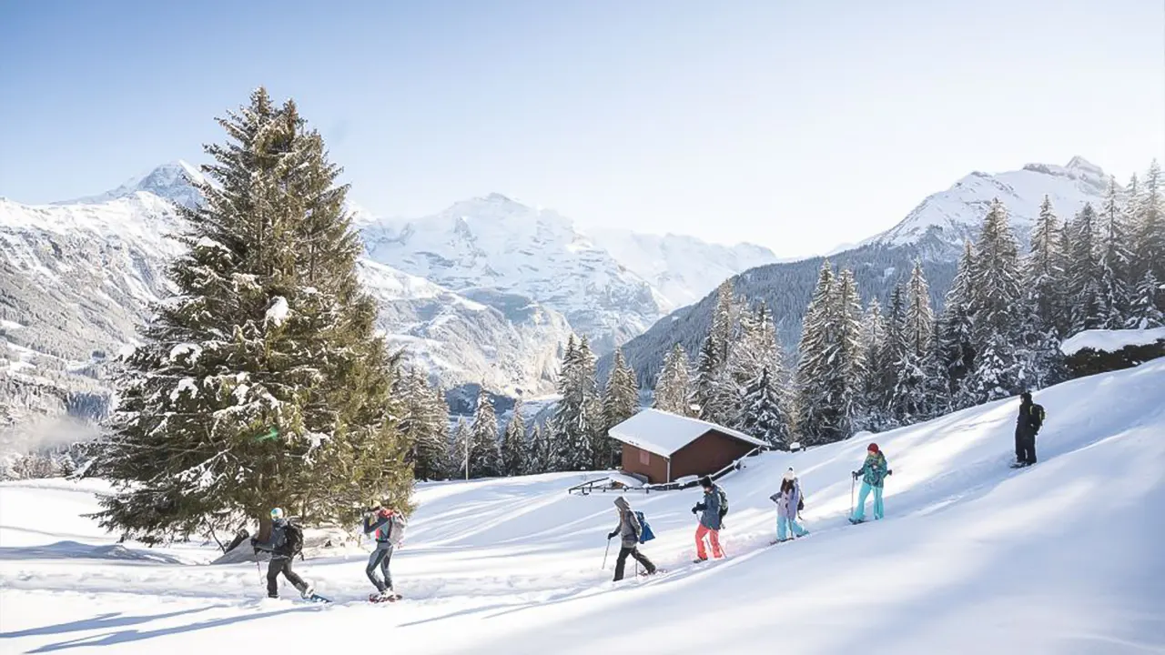 Snowshoe tour