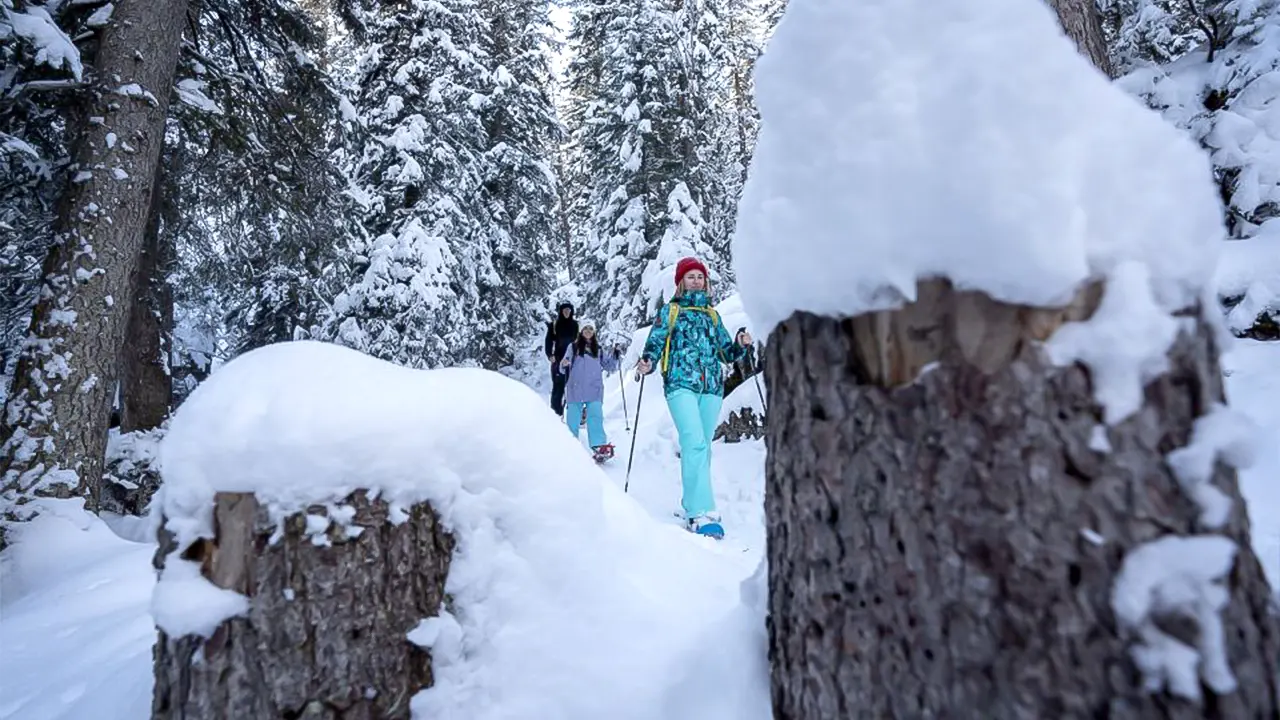 Snowshoe tour