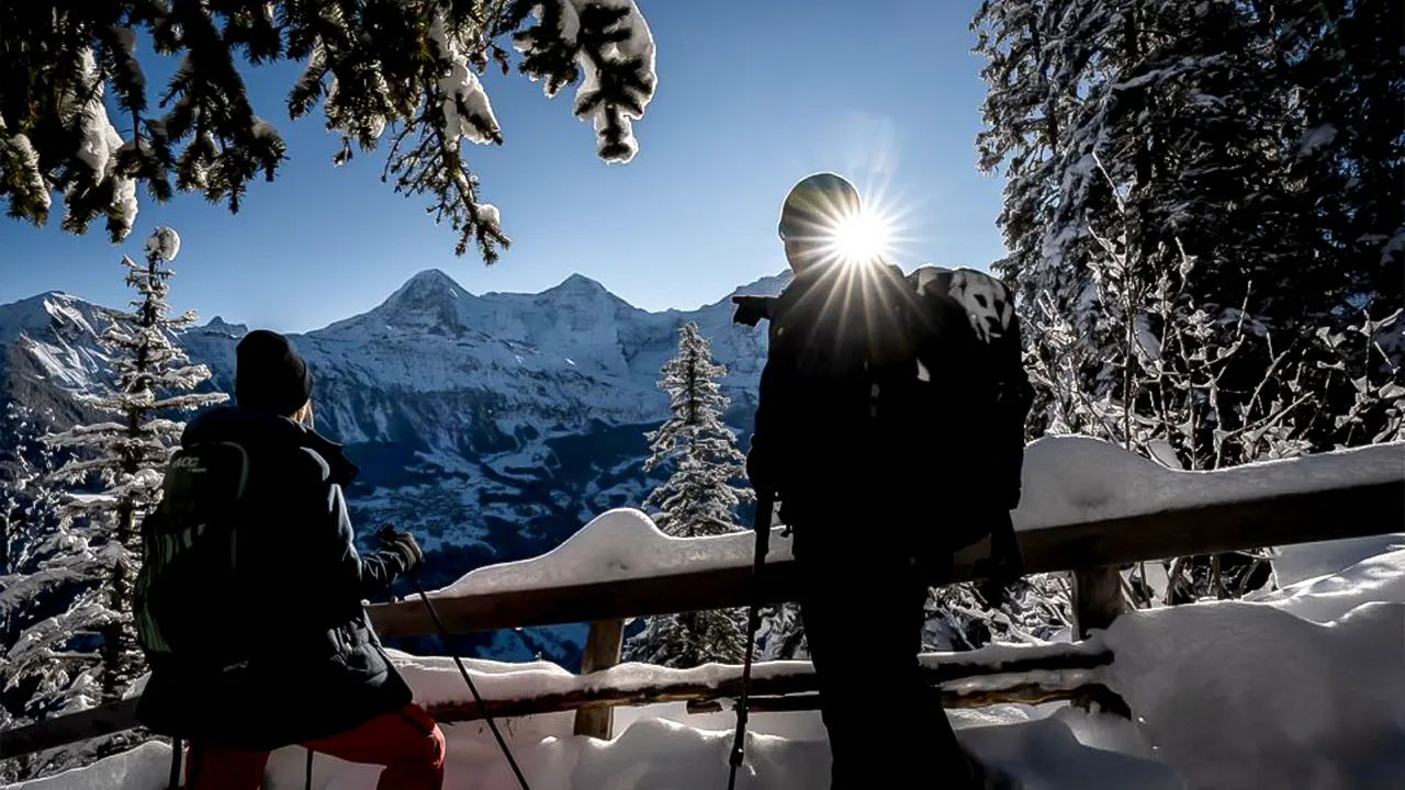 Snowshoe tour