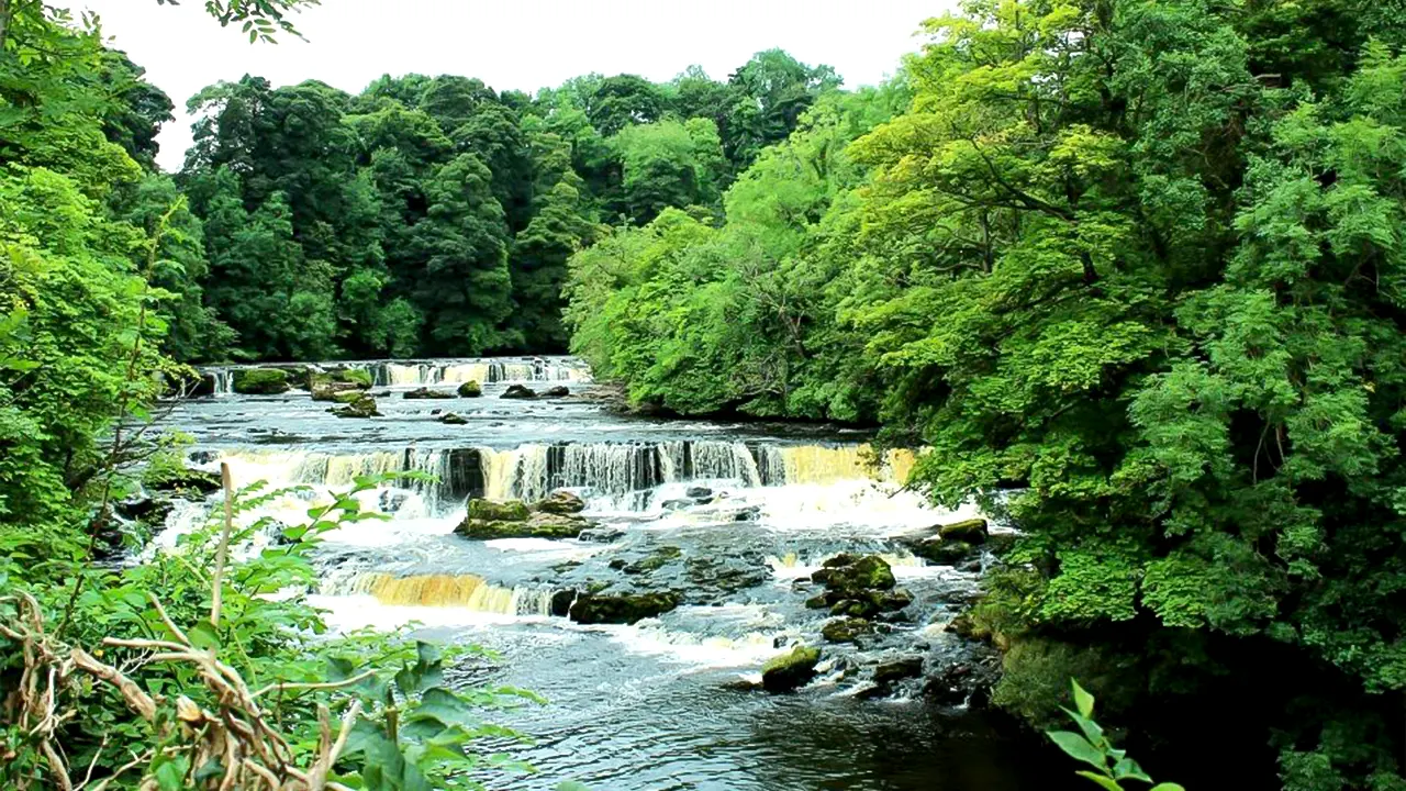 Full-Day Yorkshire Dales Tour