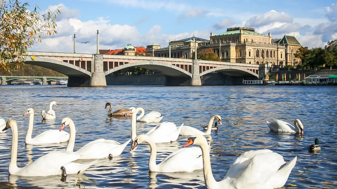 Panoramic Vltava River Cruise