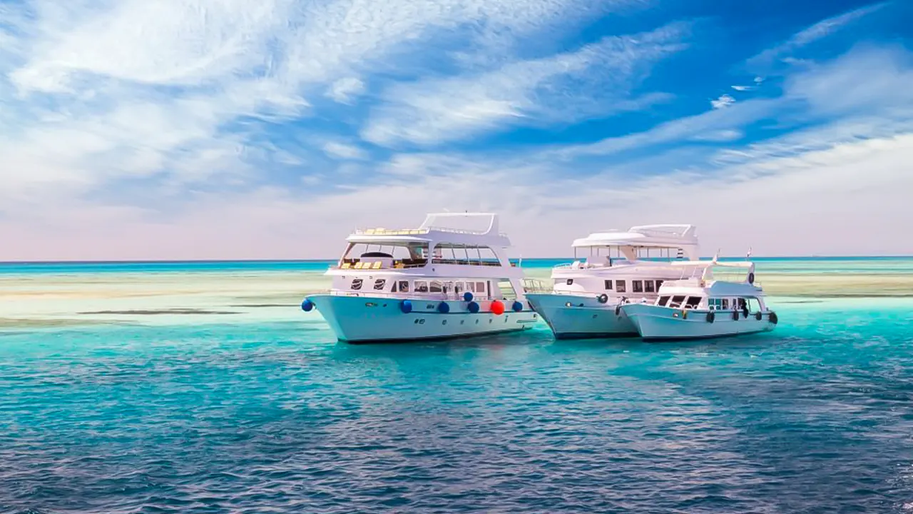 White Island and Ras Mohamed Sailing Trip