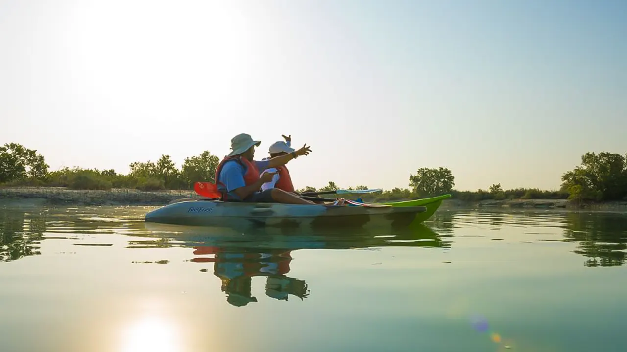 Kayak tour of the mangroves