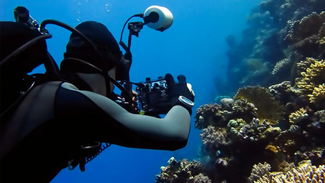 Ras Mohamed, White Island, Snorkel & Diving