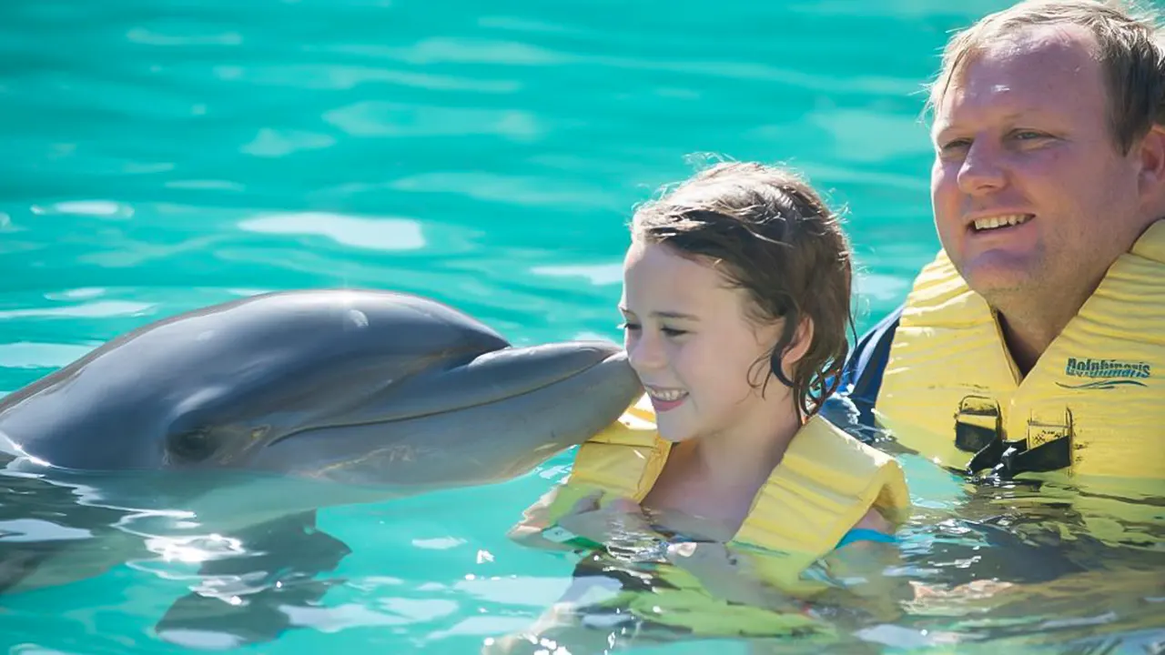 Show at Dolphin World