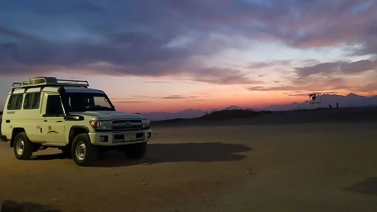 Jeep, camel and Safari buggy rides with BBQ dinner