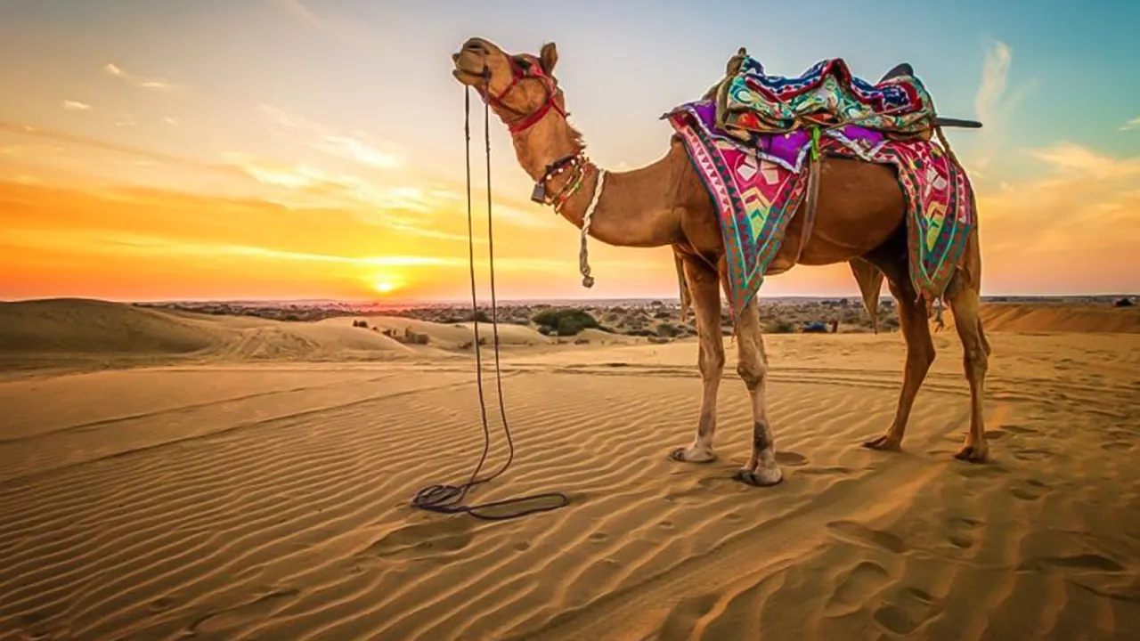 ATV, Bedouin Tent with BBQ Dinner and Show