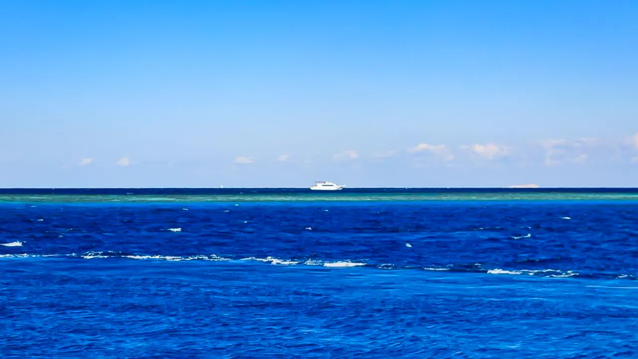 Dolphin watching with snorkeling and lunch