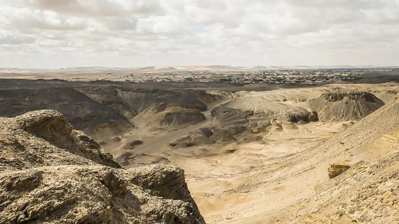 Bahariya Oasis Camp and Desert Tour