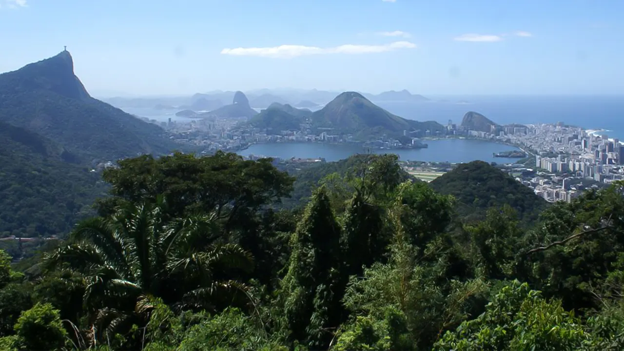 Tijuca Rain Forest Tour by Jeep