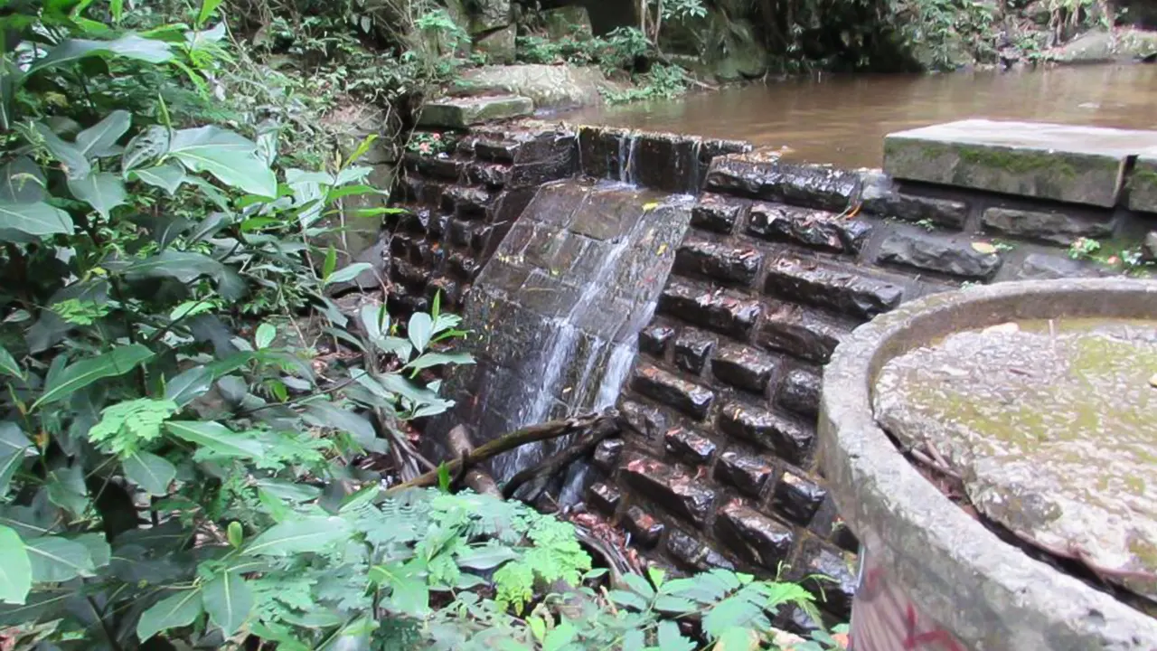 Tijuca Forest & Horto Waterfalls Circuit Tour