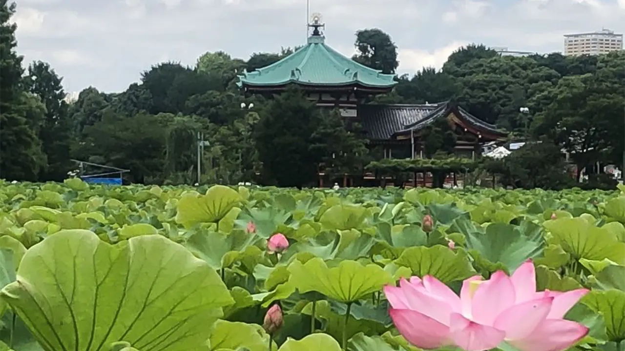 Ueno Park Self-Guided Tour with Audio Guide