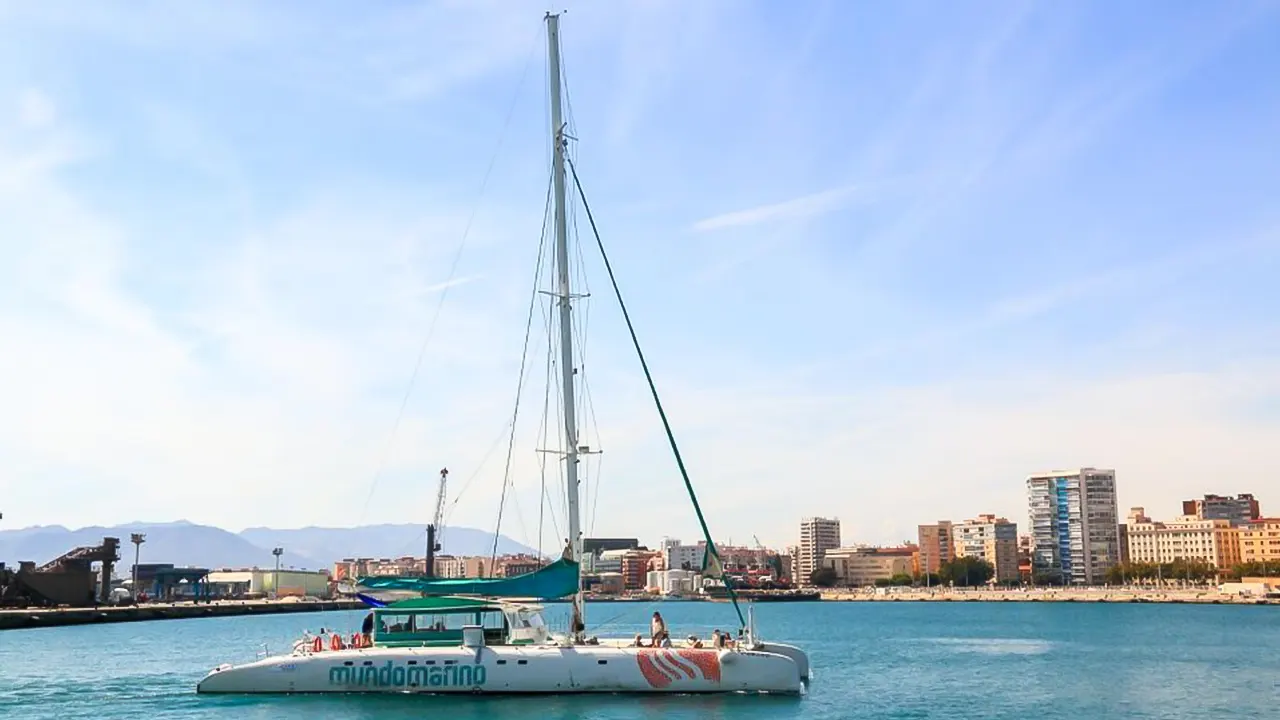 Catamaran Sailing Trip with Sunset Option