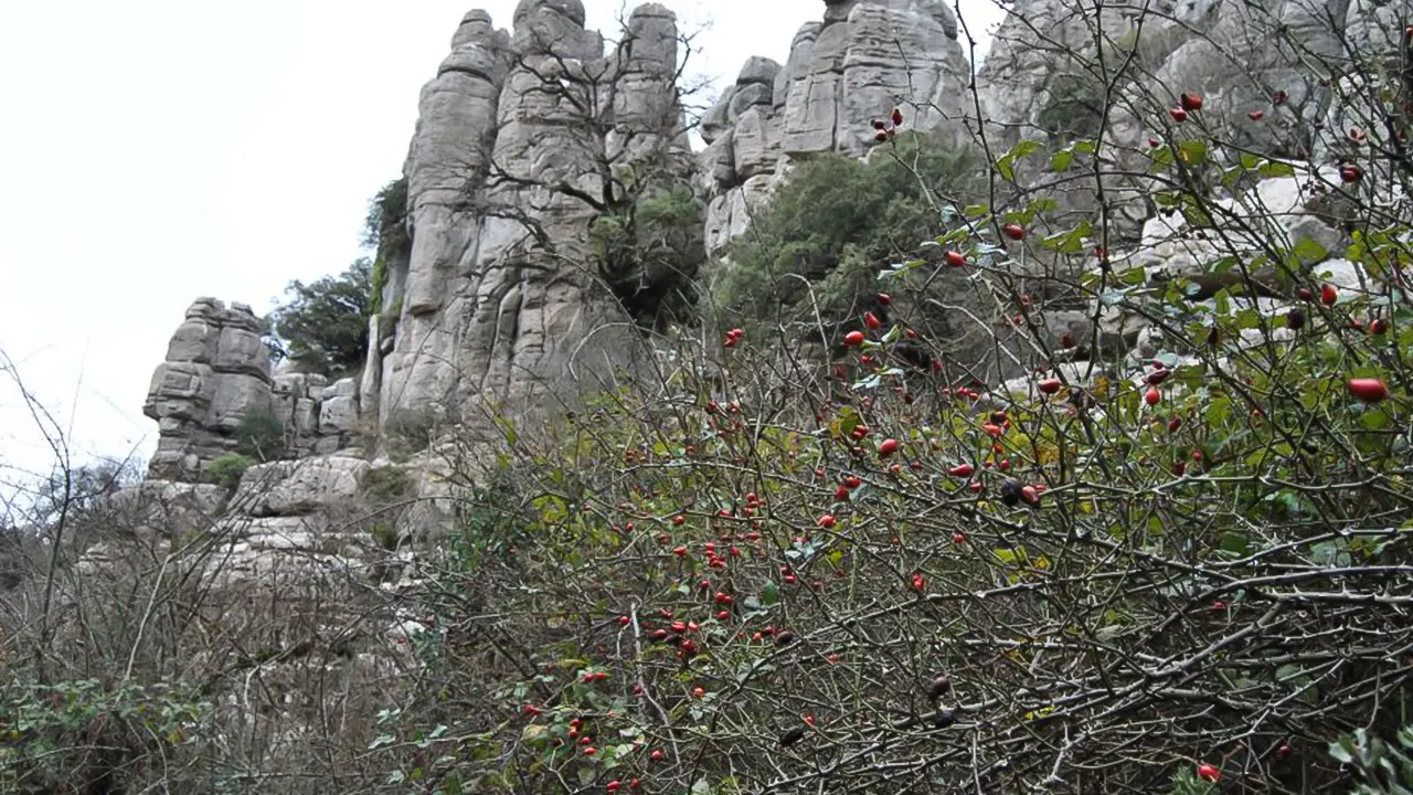 Torcal Hiking and Dolmens Site