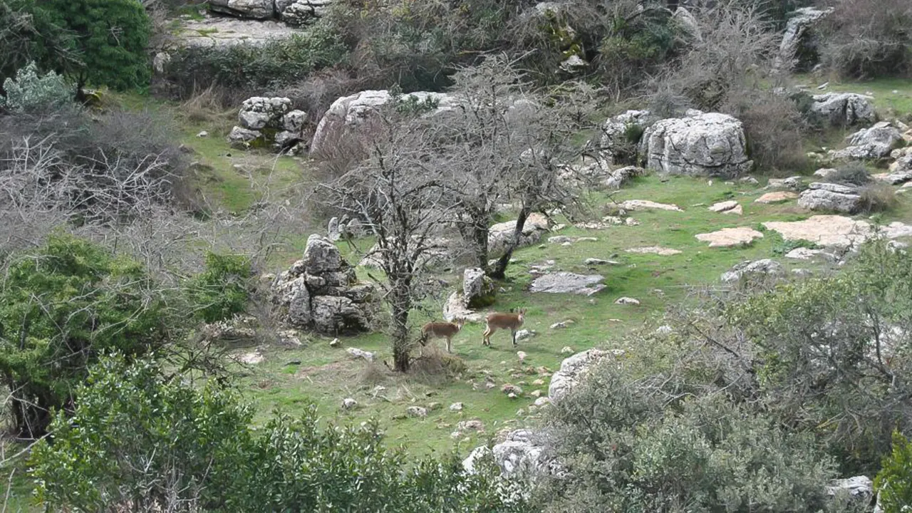 Torcal Hiking and Dolmens Site