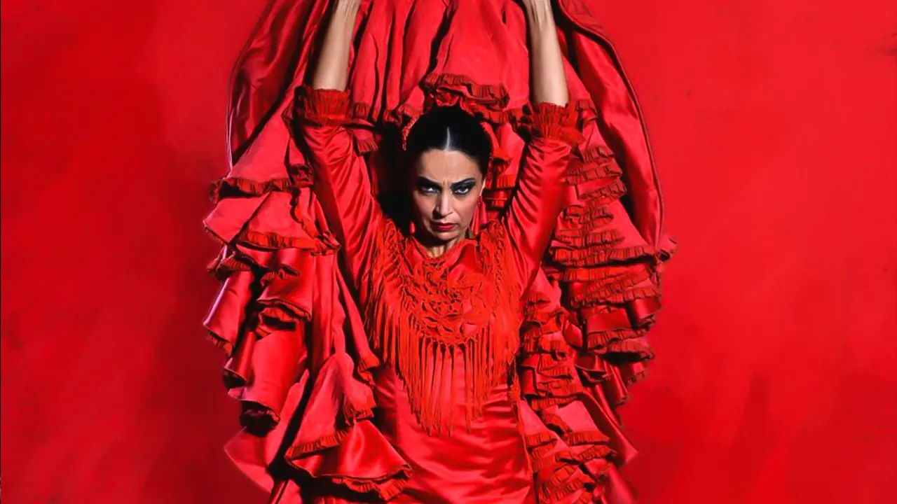 Emociones Live Flamenco Performance