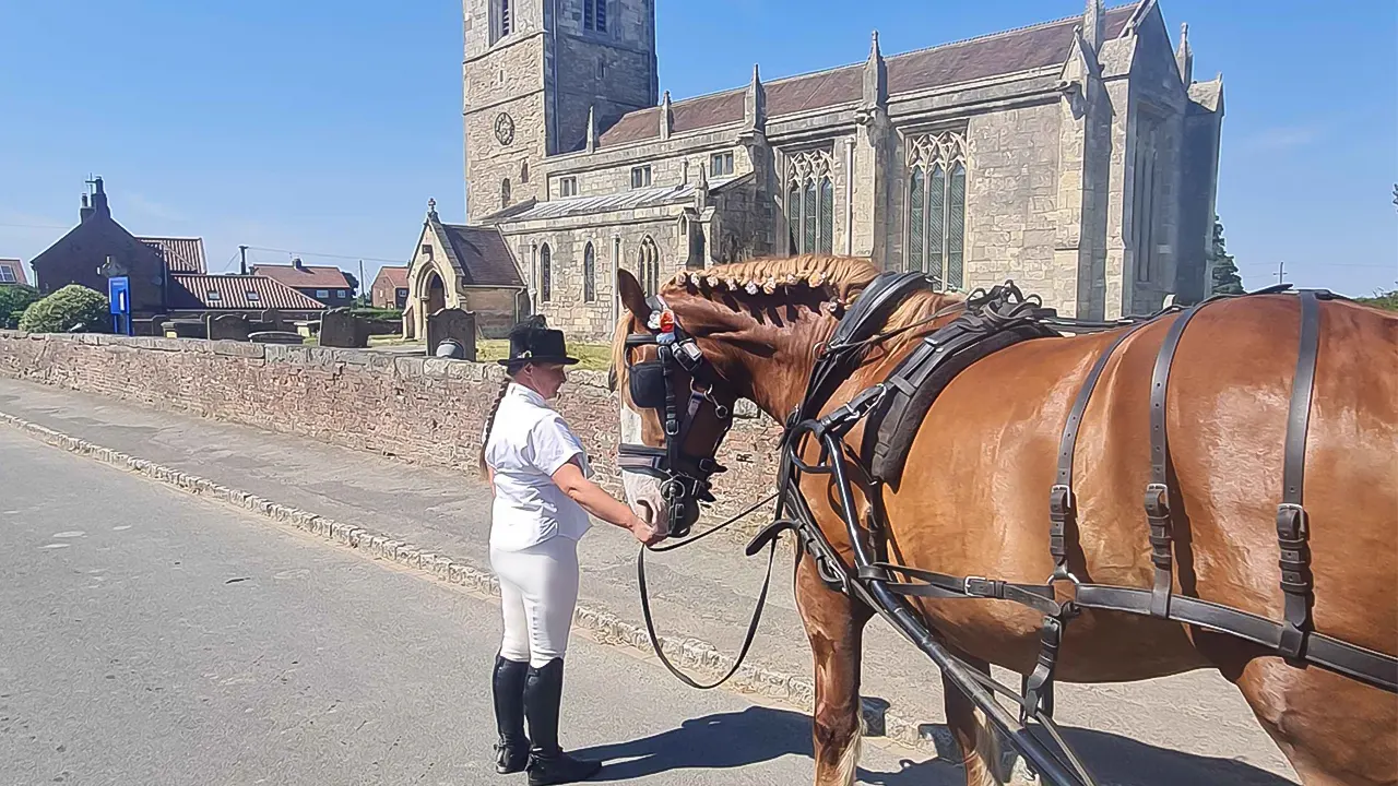 Horse Drawn Carriage ride