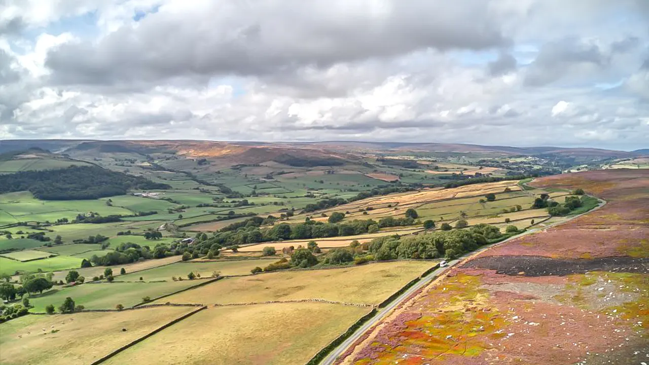 North York Moors and Whitby Guided Tour