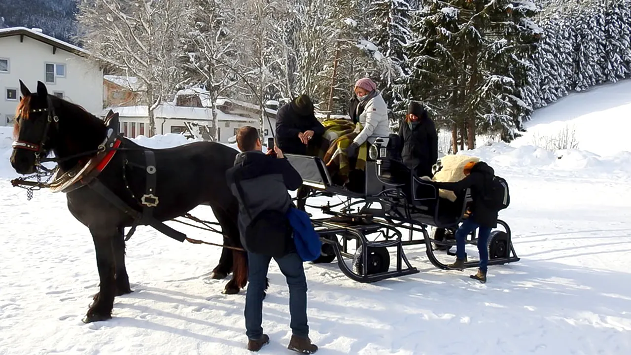 Tour with Horse-Drawn Sleigh Ride